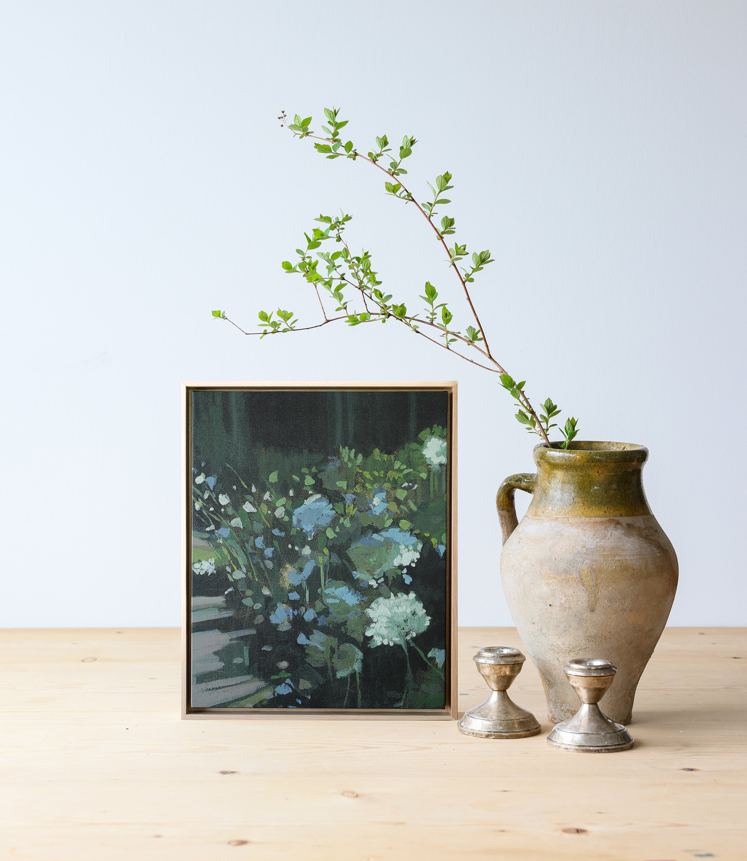 Queen Anne's Lace Study | Stretched Print on Canvas