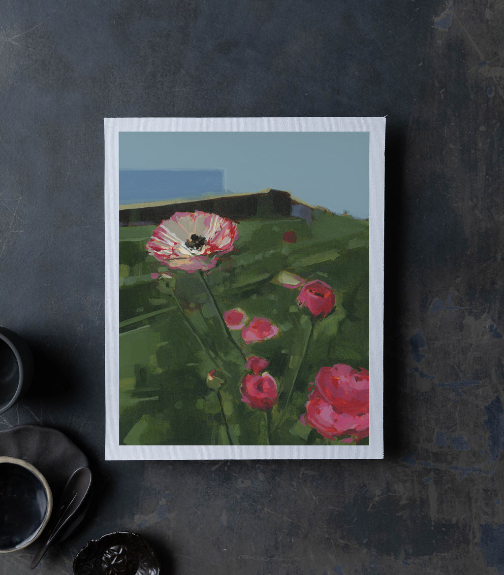 Ranunculus | Print on Canvas